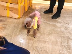 -鲜果盒子(会展店)