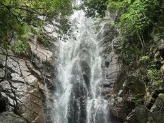 -东莞市大岭山森林公园