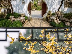 -杭州植物园