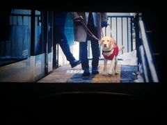 -AMG海上明珠影城(上海环球港RealDCinema店)