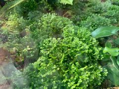 -北京植物园-展览温室