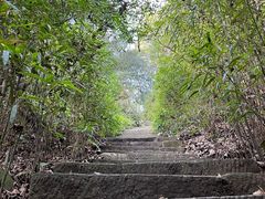 -缙云山景区