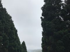 -井冈山革命烈士陵园