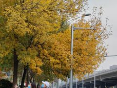 -中央广播电视总台(光华路办公区)