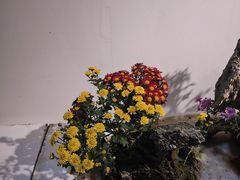 -汇龙潭