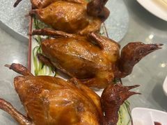 -沙田新强记烧鹅海鲜酒家