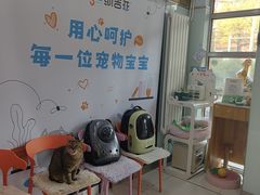 -纳吉亚猫专科动物医院博雅分院