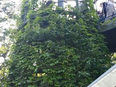 android_upload_pic-三鹰之森吉卜力美术馆