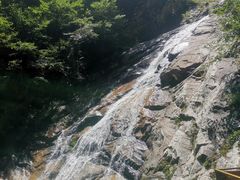 -青峰峡国家森林公园