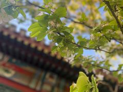 -元大都城垣遗址公园