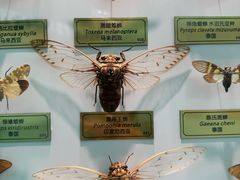 -北京国际鲜花港