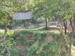 -石家庄市动物园