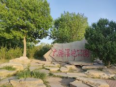 -大港湿地公园