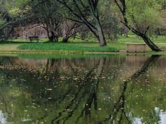 -上海共青森林公园