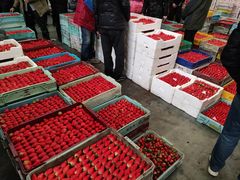 -西郊国际农产品交易中心