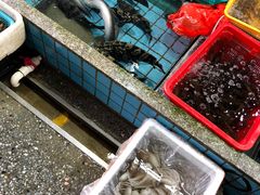 -霞涌市场海鲜摆卖区