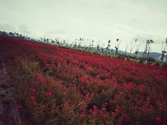 -漩门湾国家湿地公园