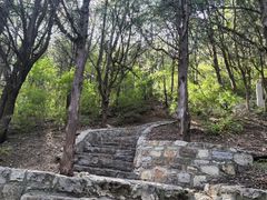 -千佛山风景名胜区