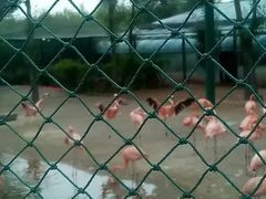 -鄂尔多斯野生动物园