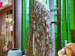 门面-雀舞云南菜(天津天河城购物中心店)