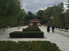 -罗布林卡