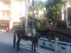 -藏龙百瀑风景区