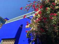 -马洛雷勒花园