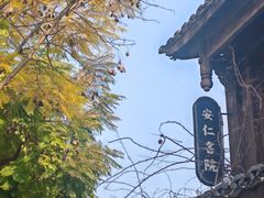 -安仁古镇