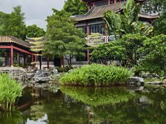 -顺峰山公园
