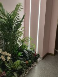 -MUSES专业脱毛比基尼サロン日式连锁