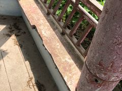 -大连冰峪旅游度假区