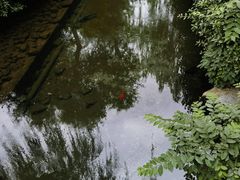 -趵突泉景区