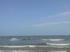 -日照海滨国家森林公园