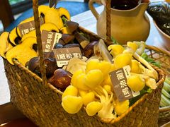 -大理老字号·舟渔的鱼野生菌海景餐厅(双廊店)