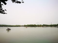 -石家庄市植物园