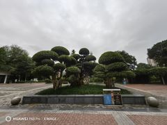 -龙头寺公园