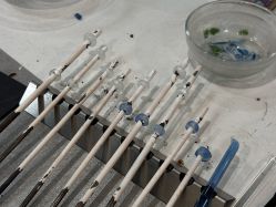 -烬·烧玻璃diy灯工玻璃艺术·银饰工作室