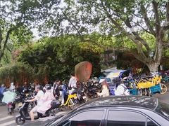 -杭州黄龙洞
