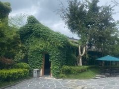 -腾冲洞山温泉村