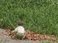 -徐家汇源景区-衡山公园