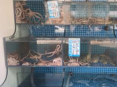 -东海章鱼馆(恒瑞街店)