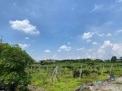 -新塘水果乐园(东洲大道店)