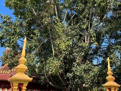 -西双版纳总佛寺