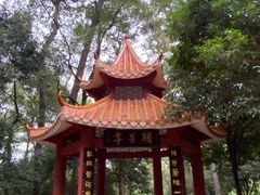 -三门江国家森林公园