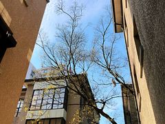 -徐家汇源景区-衡山坊