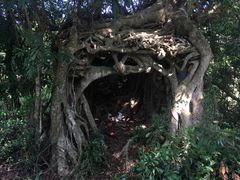 -盐洲岛