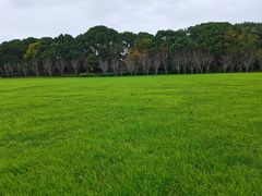 -昆山城市生态森林公园