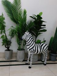 -VE专注问题肌·赛诺龙&科学美肤中心