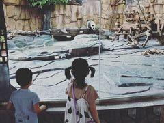 -泉州海丝野生动物世界