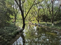 -杭州城北体育公园
